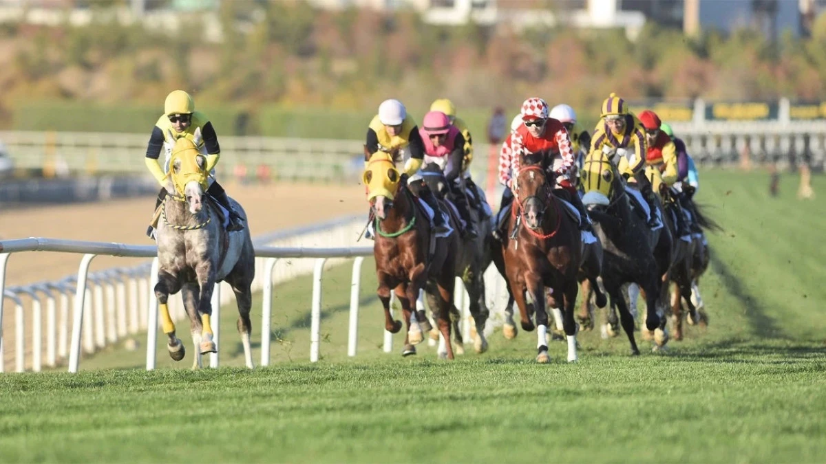 45. Cumhuriyet Koşusu'nu Gökırmak kazandı